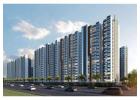 Prestige Evergreen: A Signature Township by Prestige Group