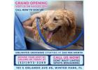 Winter Park Dog Grooming That Prioritizes Comfort, Cleanliness, and Calm