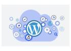 Affordable WordPress Development Company in Dallas, TX