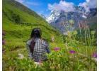 valley of Flowers: Detailed Itinerary, Package
