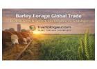 Barley Forage Global Trade – Bulk Buyers & Sellers Marketplace on Tradologie