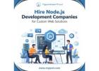 Hire Node.js Development Companies for Custom Web Solutions