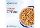 Durum Wheat Bulk Trading – Connect with Global Suppliers & Buyers | Tradologie