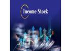 Beginner-Friendly Guide to Income Stocks