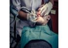 Root Canal Dublin – Gentle, Effective Endodontic Care