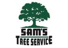 Emergency Tree Service​ Rohnert Park