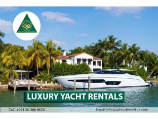 Luxury Private Jet Charters for Seamless Elite Travel