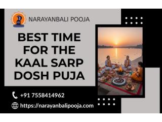 Narayan Nagbali Puja In Trimbakeshwar By Pandit Ramakant Guruji