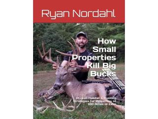 THIS IS WHY MATURE WHITETAIL BUCKS GO NOCTURNAL