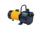 Shallow Well Jet Pumps for Domestic and Light Agricultural Use
