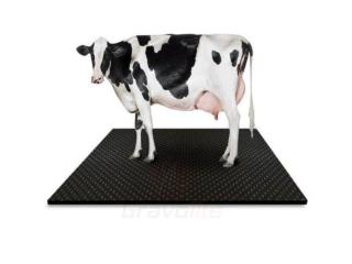 Buy Online Cow Mats at the Best Price | Gravolite