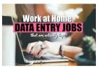 Today Us form filling Data Entry Project | Apply 7708244092