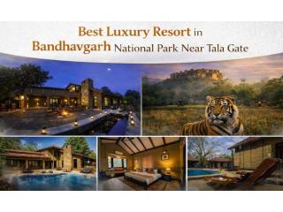 Best luxury Resort in Bandhavgarh National Park Near Tala Gate