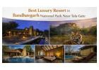 Best luxury Resort in Bandhavgarh National Park Near Tala Gate