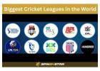 Spin24star Rewards: Discover Cricket League Legends, Win Gifts & Challenges
