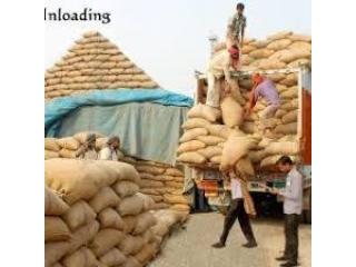 Top Basmati Rice Manufacturers in India – Premium Quality & Trusted Excellence