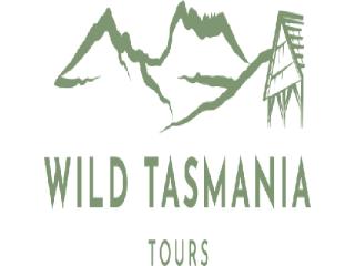 Experience Wineglass Bay Tasmania Tours and Activities