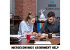 Microeconomics Assignment Help for Accurate and Conceptual Learning