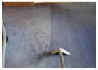 Trusted Professional Carpet Cleaning Services in Edmonds
