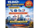 15,042 NOIDA B2B Companies Data
