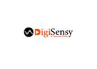 DigiSensy - Best Digital Marketing Agency in Lucknow