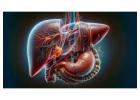 Expert Liver and Pancreas Specialist in Ludhiana  