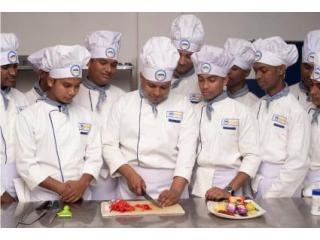 Best Hotel Management Colleges in Medinipur