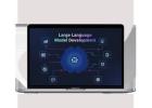 LLM Development Company