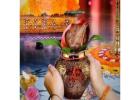 Book Kaal Sarp Dosh Puja in Ujjain | Experienced Pandits