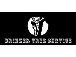 Commercial Tree Services in New Hanover County That Support Daily Operations!