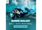 Marine Biology Bali – Dive into Real Ocean Science 