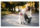 Dog Walkers in Lucknow