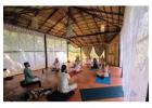 Rejuvenating Yoga Wellness Retreats by Quest And Thrive