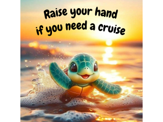 Do you Need a Cruise?