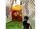 Dog Hostel in Surat