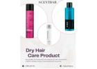 Professional Hair Care Products for Strong Hair - The Scentbar