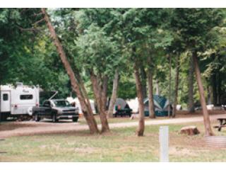 Experience Pure Outdoor Joy in Michigan State Parks