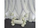 Elegant Event Draping Services - Striking Trend