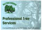 Tree Trimming Services for Overgrown and Unsafe Branches – Call Now!