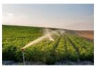 Custom Irrigation Installation Services Built for Efficiency