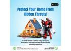 Protect your home from hidden threats!