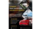 Paint Protection Services in Calgary - Calgaryautowraps