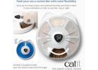 6-Meal Automatic Cat Feeder for Scheduled Feeding