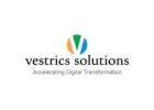 SAP Gold Partner in India | ERP Solutions for Small Businesses – Vestrics