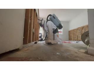 Mold Inspection and Removal Charleston SC