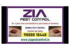 Zia Pest Control | Bed Bugs Control | Off Upto 50% Residence | Call Now | 297