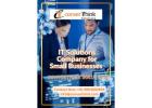 Affordable IT Solutions Company for Small Business Growth