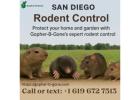 San Diego Gopher & Rodent Control – Safe, Effective, Local