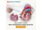 Crea Aortic Valve – Next-Generation Transcatheter Heart Valve