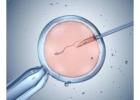 Best IVF Center in Kolkata | Advanced Fertility Care at Uma Medical